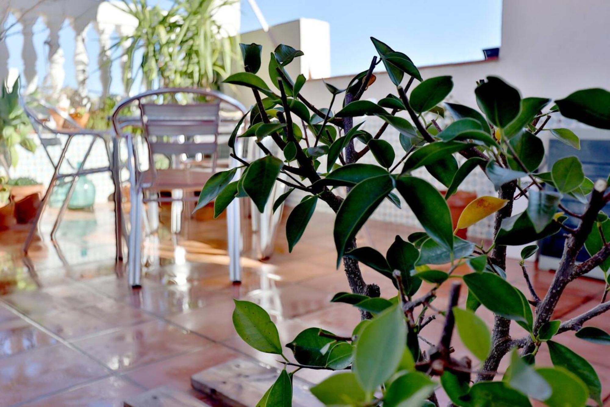 Atico Con Terraza En Pleno Centro Apartman Córdoba Kültér fotó